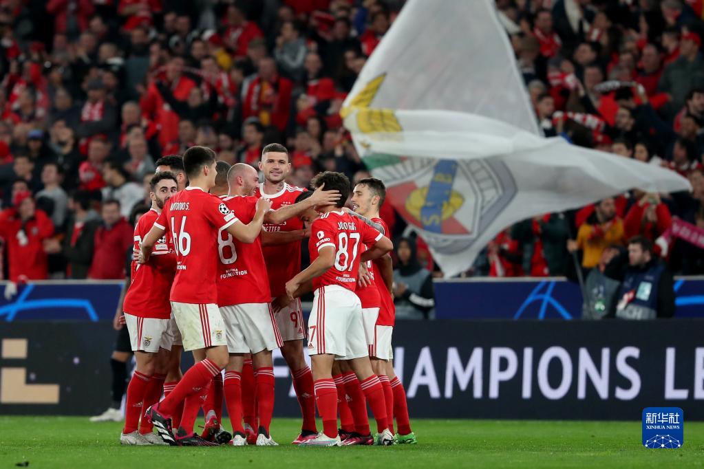 坚韧不拔的 坚韧不拔的